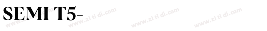 SEMI T5字体转换